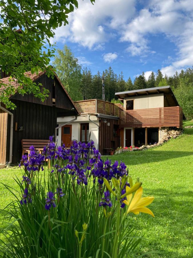 Ferienwohnung Penzion Na Habeši Kasperske Hory Exterior foto