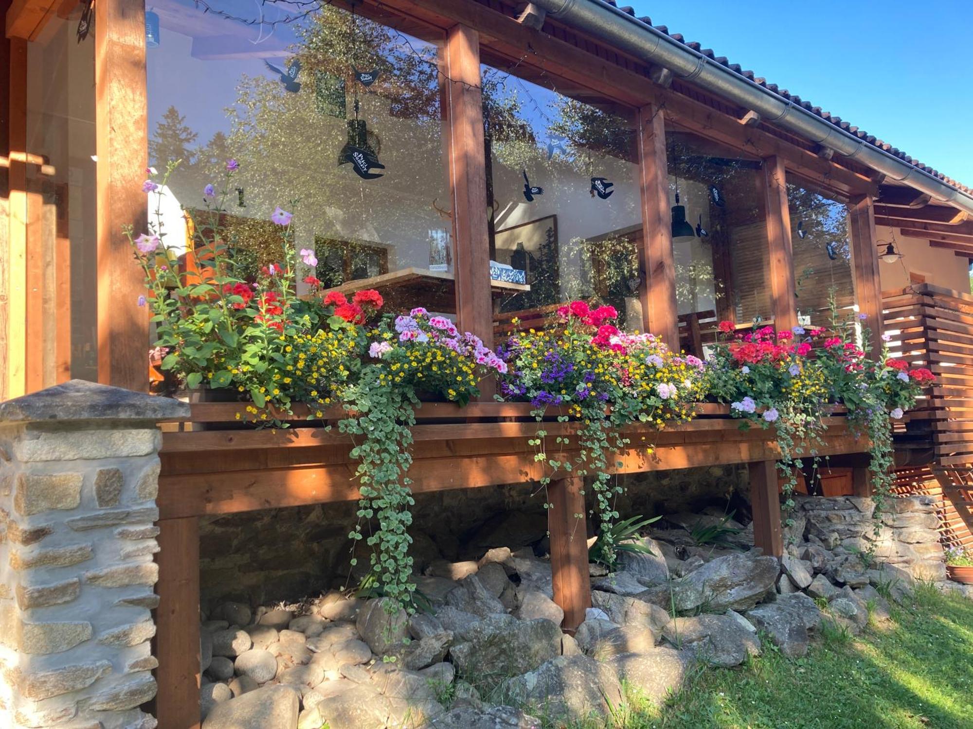 Ferienwohnung Penzion Na Habeši Kasperske Hory Exterior foto