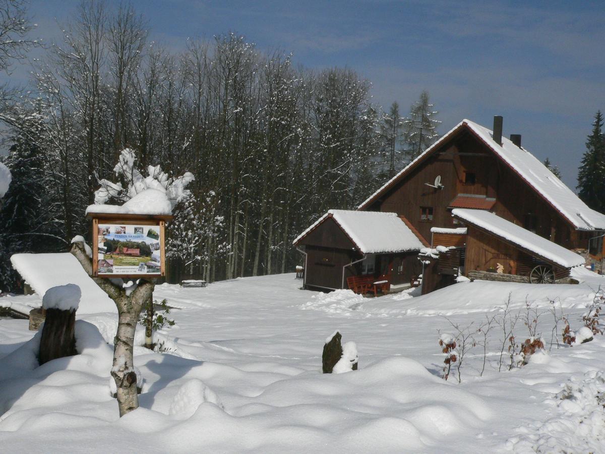 Ferienwohnung Penzion Na Habeši Kasperske Hory Exterior foto